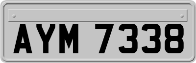 AYM7338