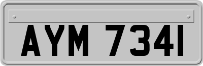 AYM7341