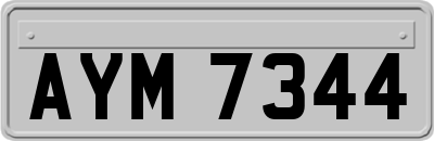 AYM7344