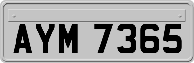 AYM7365