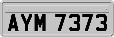 AYM7373