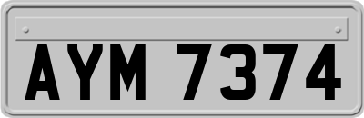 AYM7374