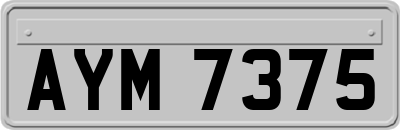 AYM7375