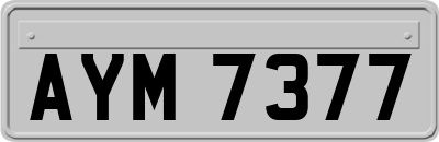 AYM7377