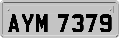 AYM7379