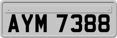 AYM7388