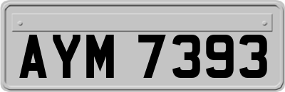 AYM7393