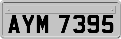 AYM7395