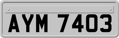 AYM7403