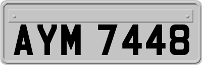 AYM7448