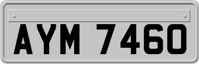 AYM7460