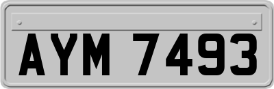 AYM7493