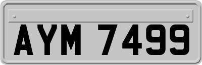 AYM7499