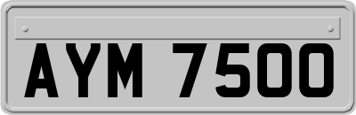 AYM7500