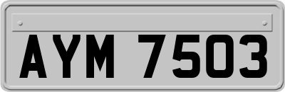 AYM7503