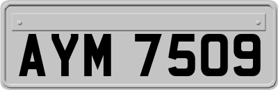 AYM7509