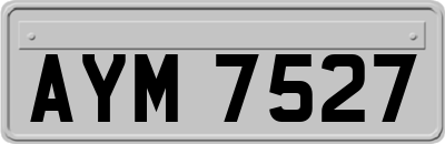AYM7527