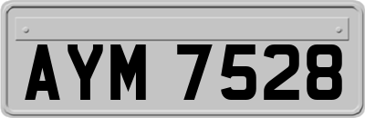 AYM7528