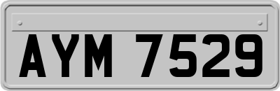 AYM7529