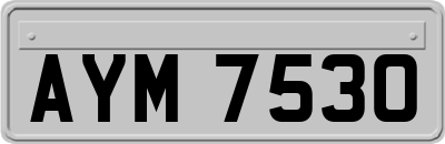 AYM7530