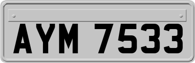 AYM7533