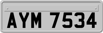 AYM7534