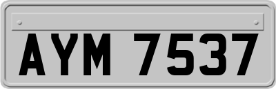 AYM7537