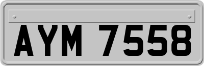 AYM7558