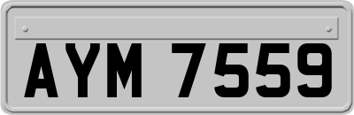 AYM7559