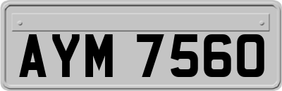 AYM7560