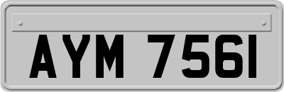 AYM7561