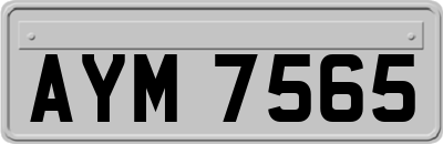 AYM7565