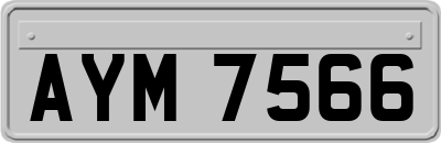 AYM7566