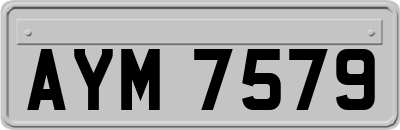 AYM7579