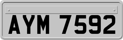 AYM7592