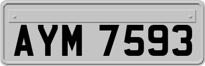 AYM7593