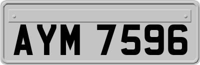 AYM7596