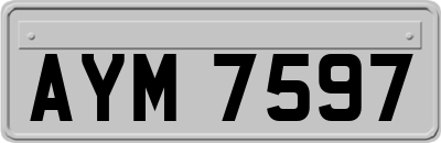 AYM7597
