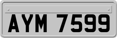 AYM7599
