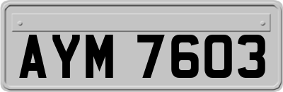 AYM7603