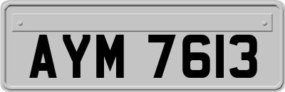 AYM7613