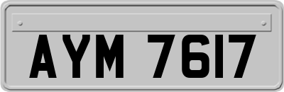 AYM7617