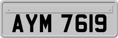 AYM7619