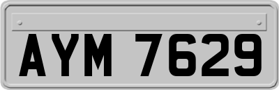 AYM7629