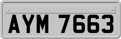 AYM7663