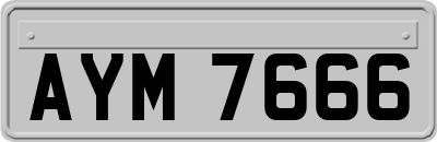 AYM7666