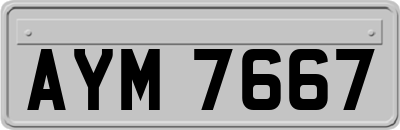 AYM7667