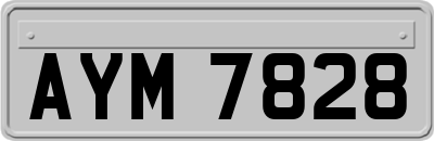 AYM7828
