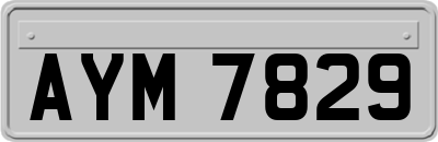AYM7829