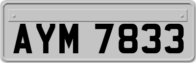 AYM7833